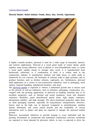 Plywood Market 28