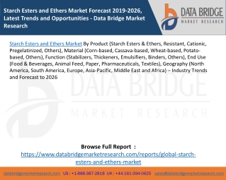 Starch Esters and Ethers Market Forecast 2019-2026, Latest Trends and Opportunities - Data Bridge Market Research