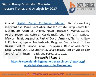 Digital Pump Controller Market Demands, Analysis, Size, Trends, Revenue by 2027