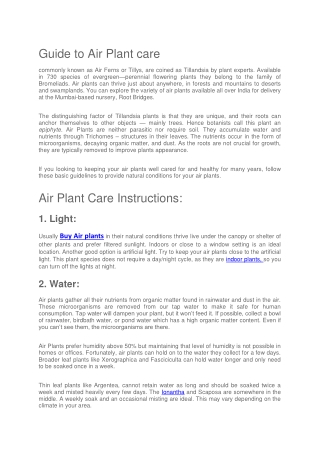 Air Plant Care Instructions