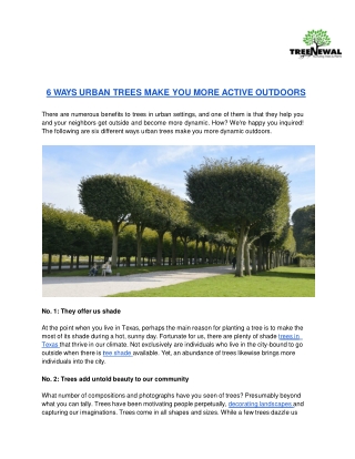 6 WAYS URBAN TREES MAKE YOU MORE ACTIVE OUTDOORS