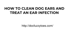 HOW TO CLEAN DOG EARS AND TREAT AN EAR INFECTION