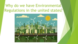 Why Do We Have Environmental Regulations
