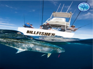 Private Overnight Reef Fishing