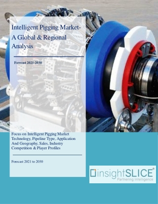 Intelligent Pigging Market Size, Share, Sales, Analysis, Forecast  To 2030