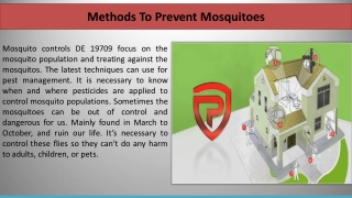 Methods To Prevent Mosquitoes
