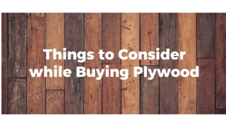 Things to Consider while Buying Plywood