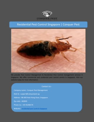 Residential Pest Control Singapore | Conquer Pest