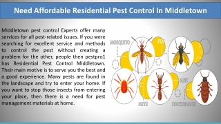 Need Affordable Residential Pest Control In Middletown