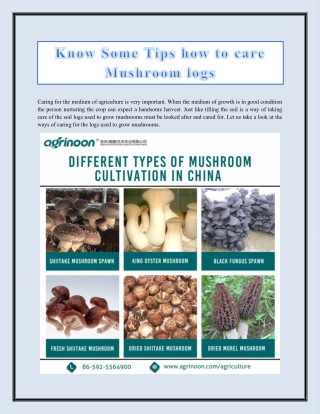 Know Some Tips how to care Mushroom logs