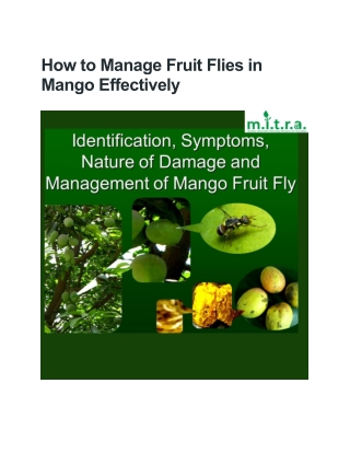 How to Manage Fruit Flies in Mango Effectively