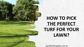 How To Pick The Perfect Turf For Your Lawn
