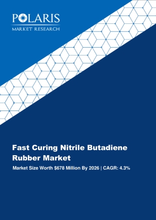 Fast Curing Nitrile Butadiene Rubber Market Strategies & Forecasts, 2018 to 2026