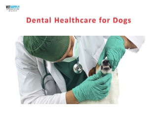 Dental Healthcare Dogs | VetSupply | Australia Best online Pet store