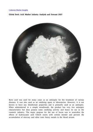 Boric Acid Market 29
