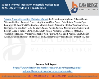 Subsea Thermal Insulation Materials Market 2021-2028, Latest Trends and Opportunities