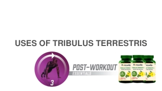 USES OF TRIBULUS TERRESTRIS