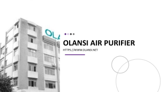 Olansi Air Purifier