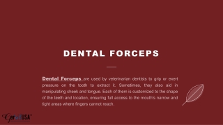 Dental Forceps
