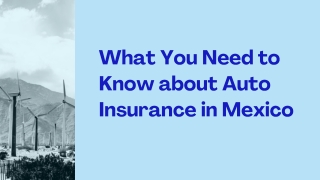 What You Need to Know about Auto Insurance in Mexico