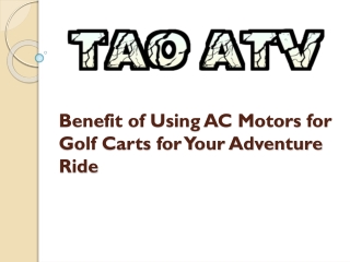 Dynamic Electric Motor Golf Cart for Sale