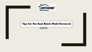 Tips for the best black mold removal