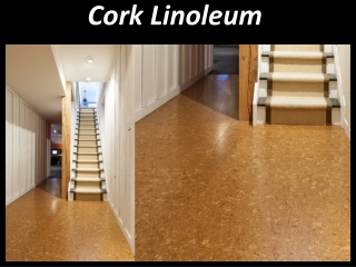 Cork Linoleum Flooring