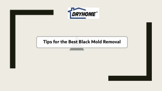 Tips for the best black mold removal