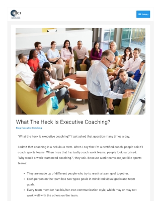 What The Heck Is Executive Coaching