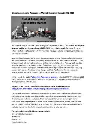 Global Automobile Accessories Market Research Report 2021-2025