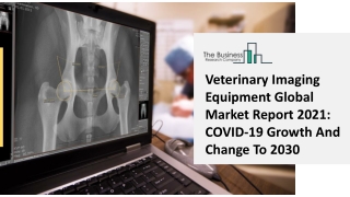 Veterinary Imaging Equipment Market Forecast to 2030 | Growth and Trends