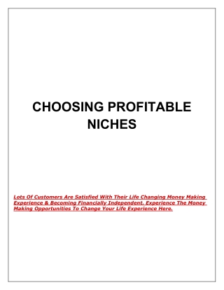 Choosing Profitable Online Niches