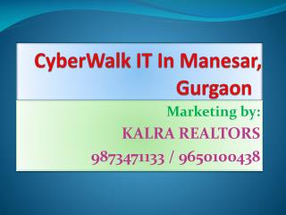 CyberWalk Manesar 9650100438 Cyberwalk Project 9650100438