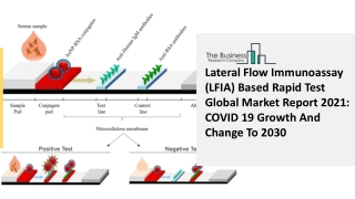 Lateral Flow Immunoassay (LFIA) Based Rapid Test Market Size, Growth, Opportunit