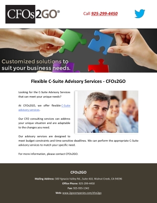 Flexible C-Suite Advisory Services - CFOs2GO