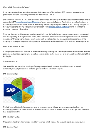 What Is SAP Accounting Software?