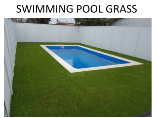 SWIMMING POOL GRASS