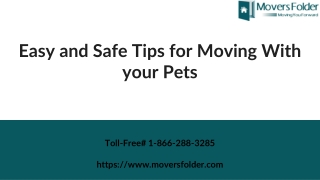 Easy and Safe Tips for Moving With your Pets