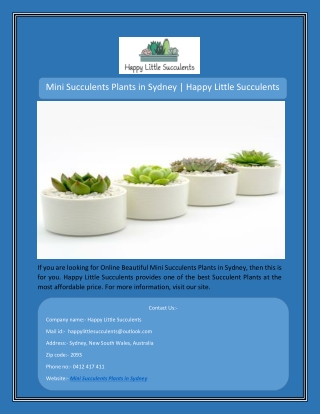 Mini Succulents Plants in Sydney | Happy Little Succulents