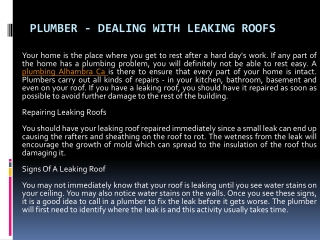 Plumber - Dealing With Leaking Roofs