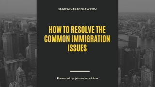 How To Resolve The Common Immigration Issues