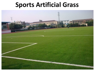 Sports Artificial Grass