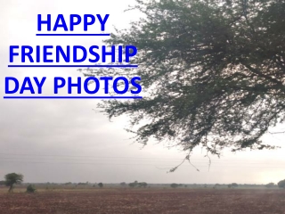 Happy Friendship Day Photos HD Download