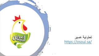 صناعة الدواجن في المملكة.. مجرد حرفة أم فرصة استثمارية؟