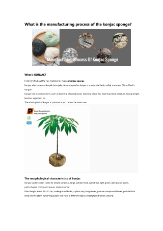 What's Manufacturing Process of Konjac Sponge