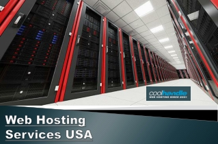 Web Hosting Services USA