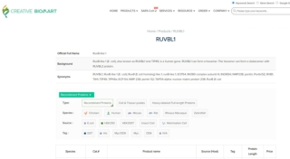 RUVBL1