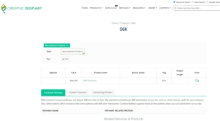 S6K