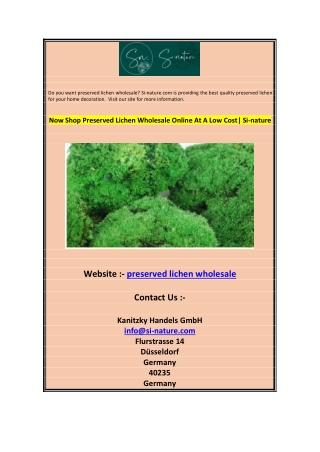 Now Shop Preserved Lichen Wholesale Online At A Low Cost Si-nature