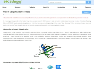 protac ubiquitin